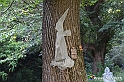 VBS_4889 - Il bosco fatato - Montaldo Roero